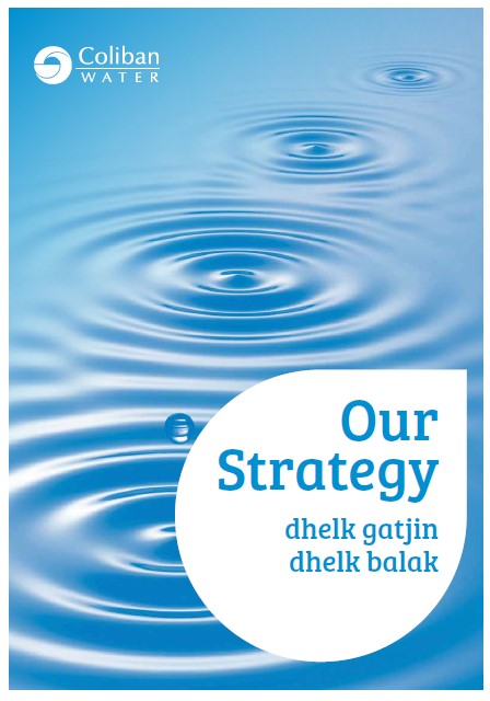 Front cover image of Our Strategy