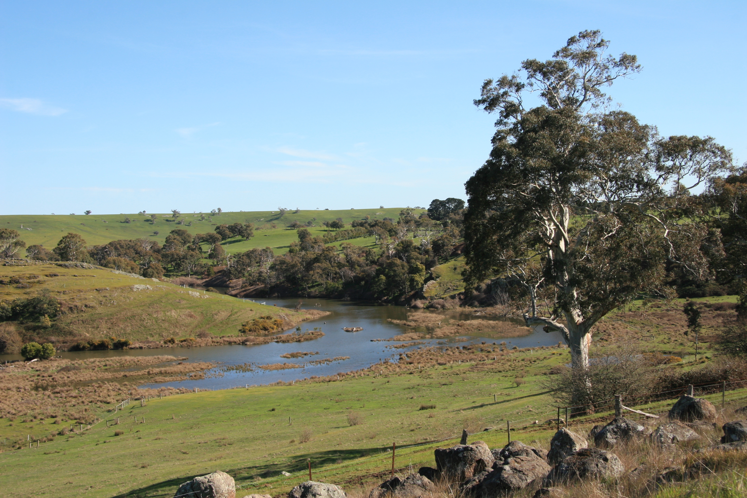 Upper Coliban River